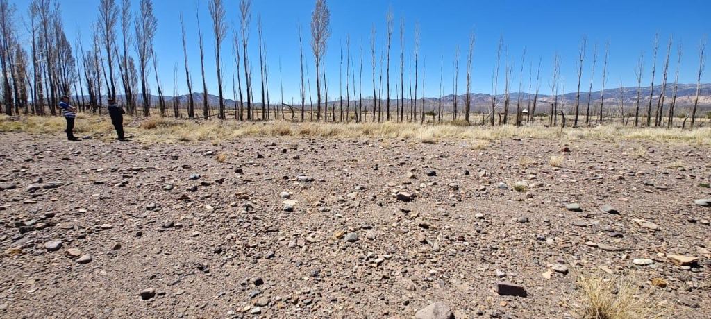 Lote en Venta en Las Heras, Mendoza