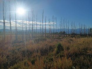 Las Heras Uspallata
