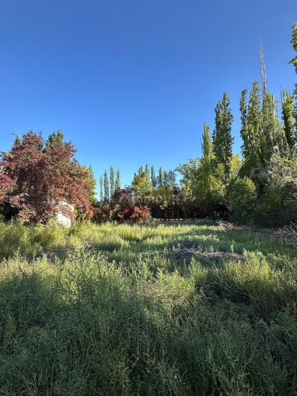 Lote en Venta en Lujan de Cuyo, Mendoza