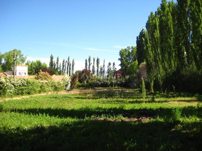 Lote en Venta en Lujan de Cuyo, Mendoza