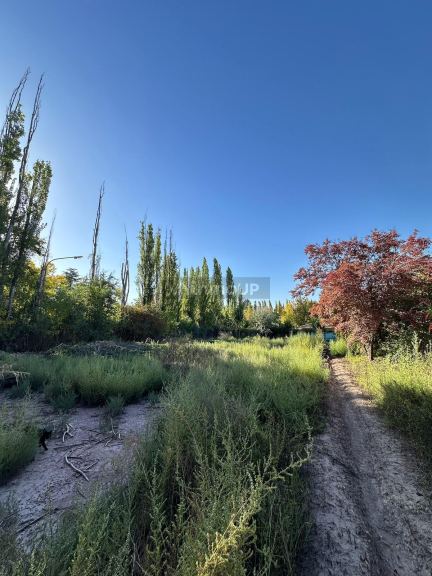 Lote en Venta en Lujan de Cuyo, Mendoza