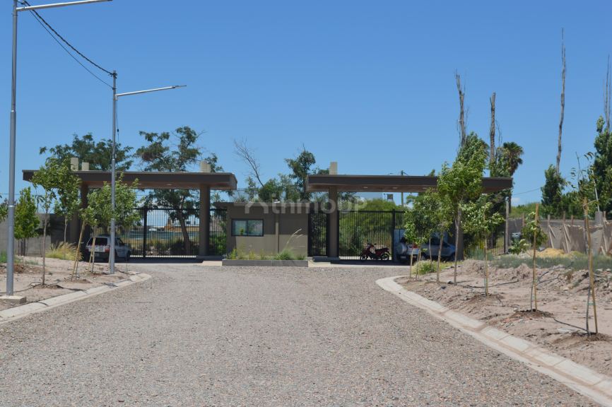Lote en Venta en Lujan de Cuyo, Mendoza