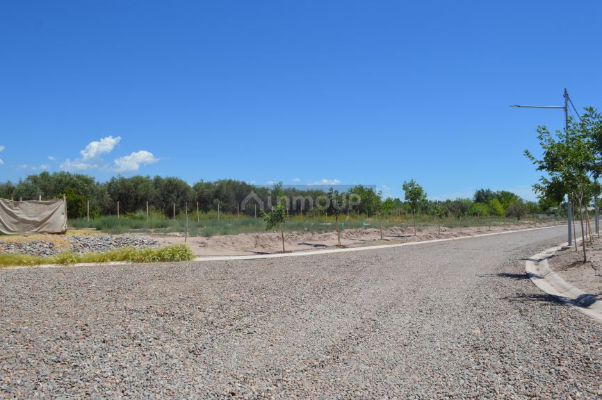 Lote en Venta en Lujan de Cuyo, Mendoza