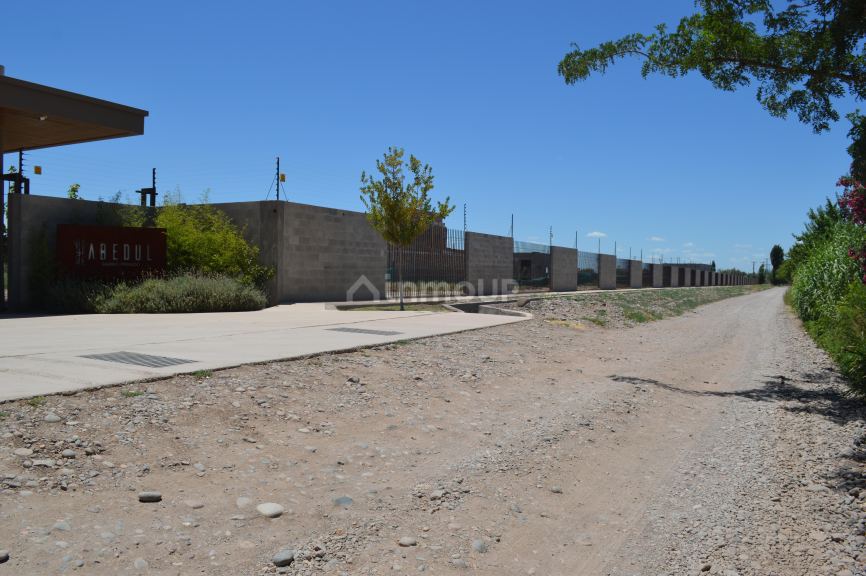 Lote en Venta en Lujan de Cuyo, Mendoza