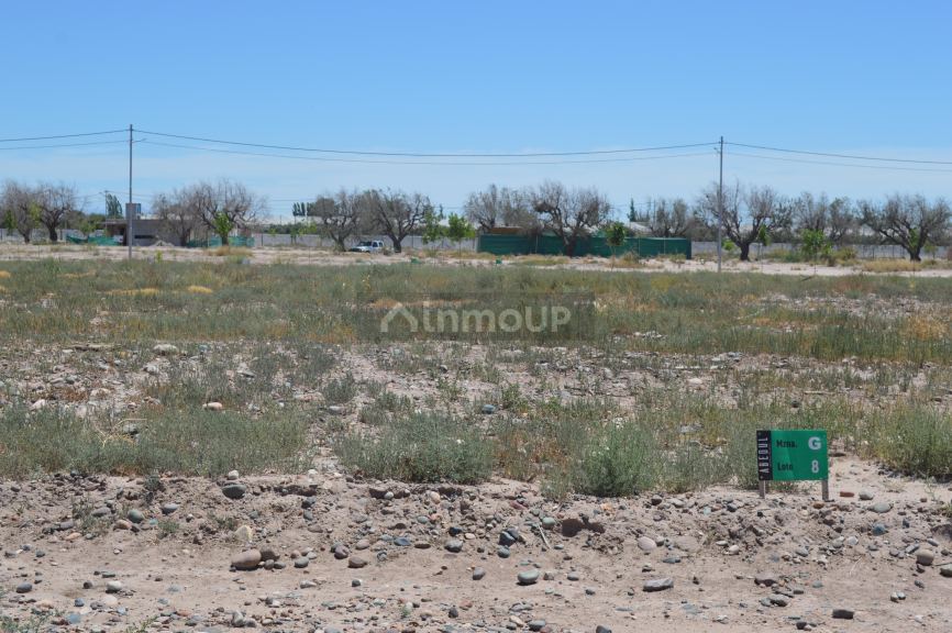 Lote en Venta en Lujan de Cuyo, Mendoza