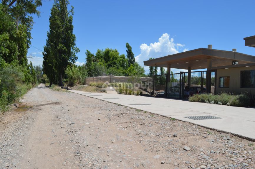 Lote en Venta en Lujan de Cuyo, Mendoza