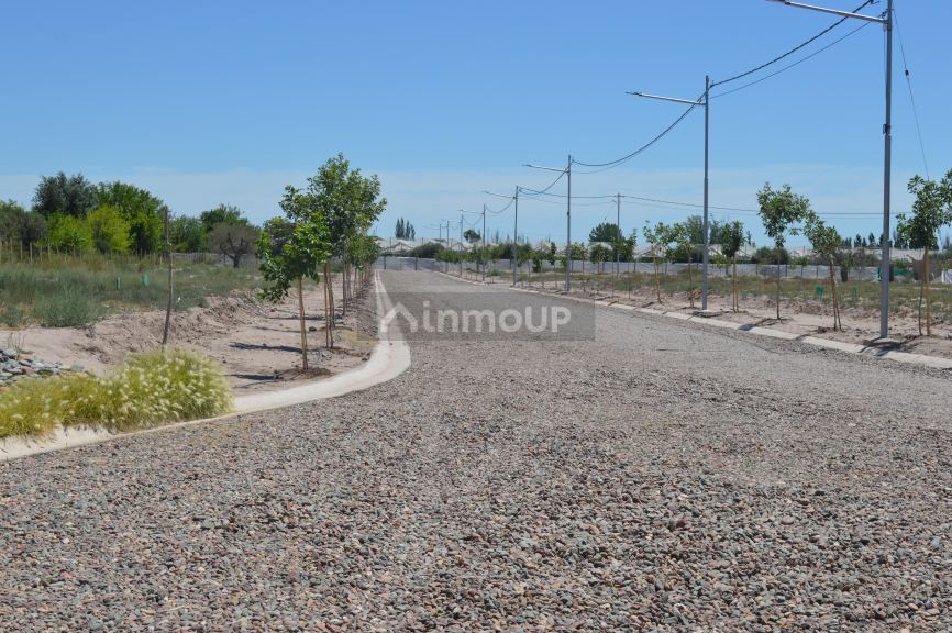 Lote en Venta en Lujan de Cuyo, Mendoza