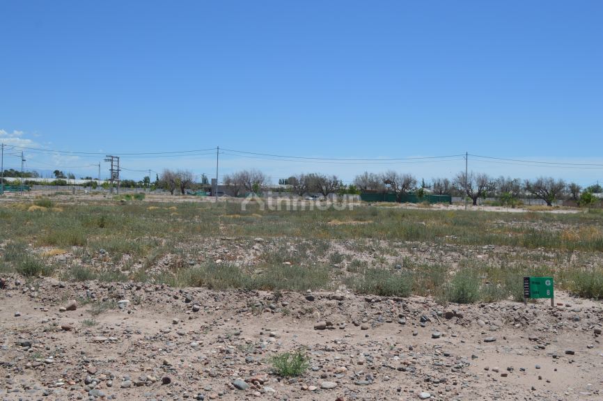 Lote en Venta en Lujan de Cuyo, Mendoza