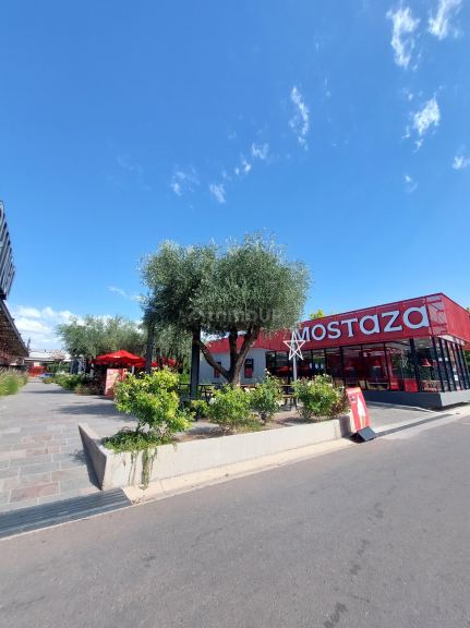 Lote en Venta en Lujan de Cuyo, Mendoza