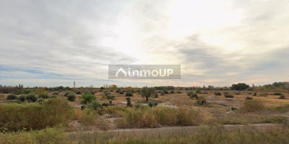 Finca en Venta en Maipu, Mendoza