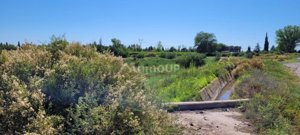 Finca en Venta en Maipu, Mendoza