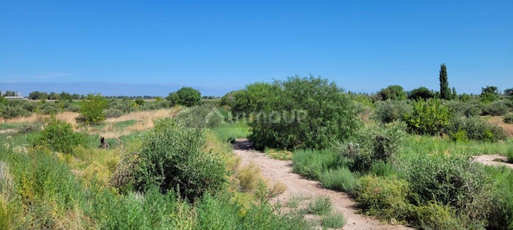 Finca en Venta en Maipu, Mendoza