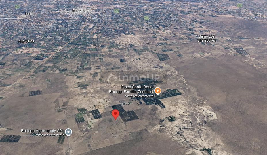 Finca en Venta en Santa Rosa, Mendoza