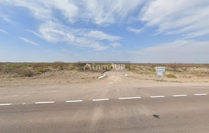 Campo en Venta en General alvear, Mendoza