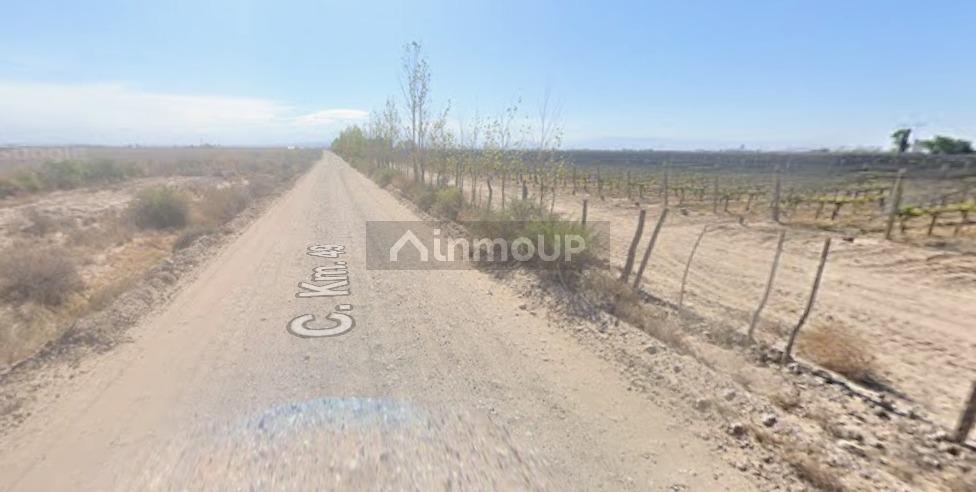 Finca en Alquiler en Lujan de Cuyo, Mendoza