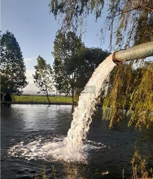 Finca en Alquiler en Lujan de Cuyo, Mendoza
