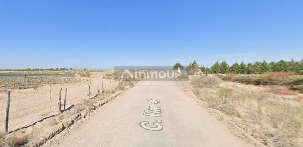 Finca en Alquiler en Lujan de Cuyo, Mendoza