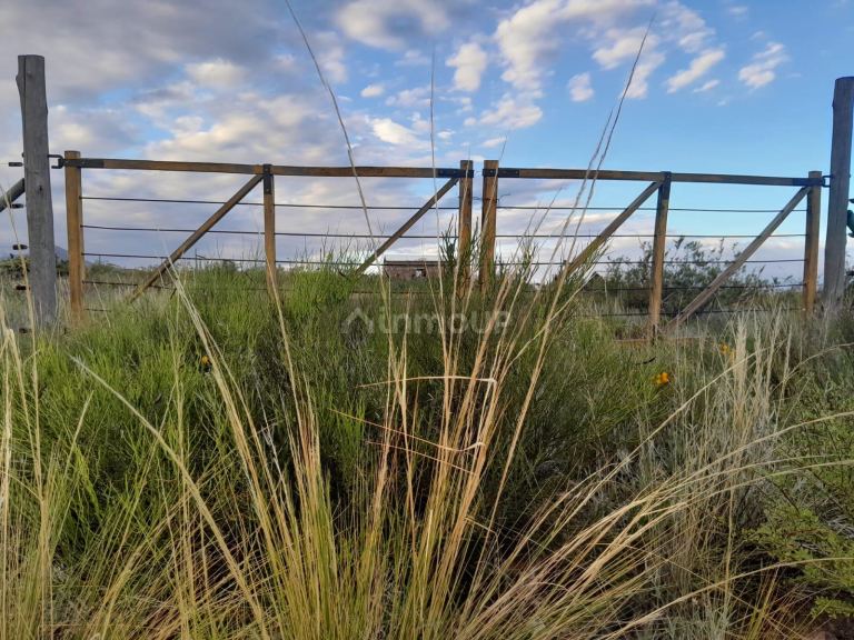 Terreno en Venta en Lujan de Cuyo, Mendoza