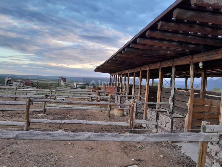 Terreno en Venta en Lujan de Cuyo, Mendoza