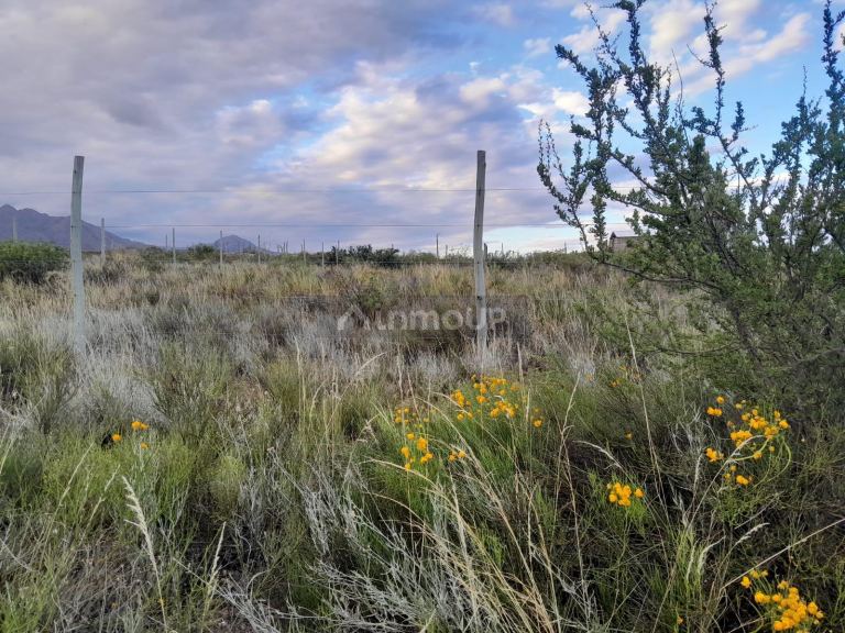 Terreno en Venta en Lujan de Cuyo, Mendoza