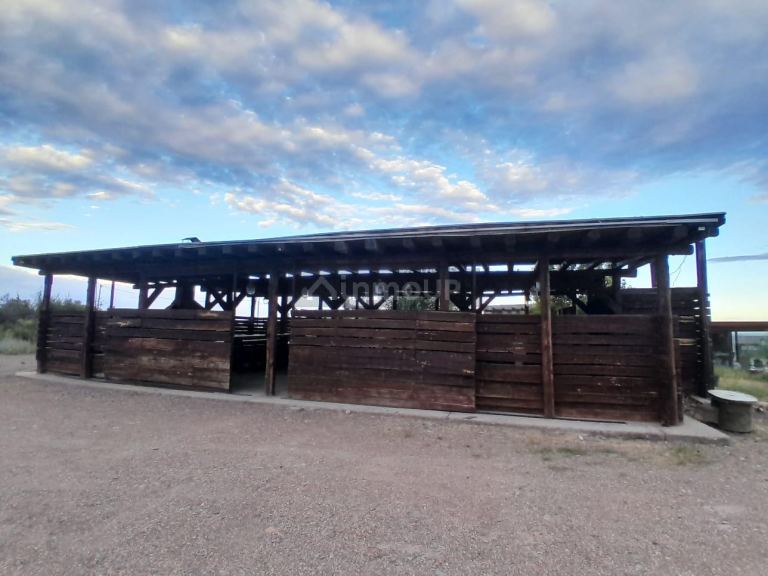 Terreno en Venta en Lujan de Cuyo, Mendoza