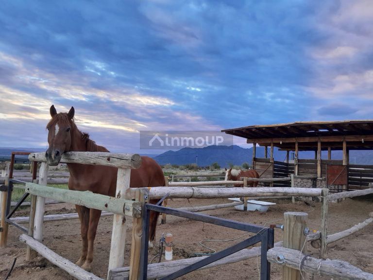 Terreno en Venta en Lujan de Cuyo, Mendoza