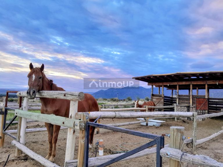 Lote en Venta en Lujan de Cuyo, Mendoza