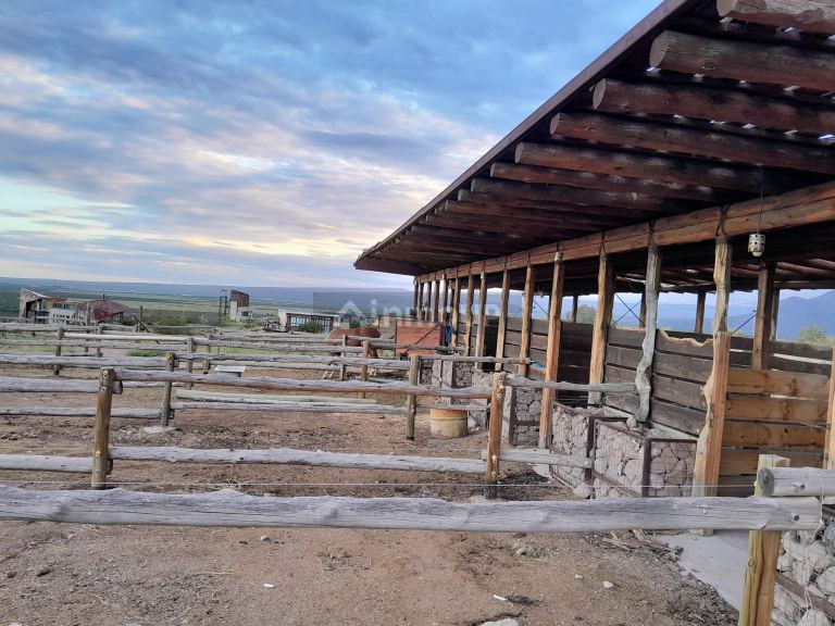 Lote en Venta en Lujan de Cuyo, Mendoza