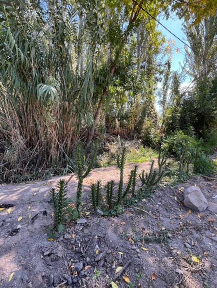 Lote en Venta en Las Heras, Mendoza