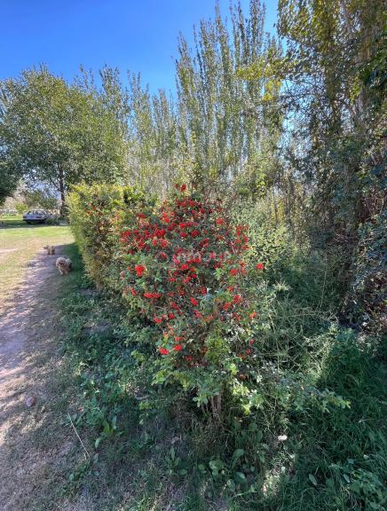 Lote en Venta en Las Heras, Mendoza