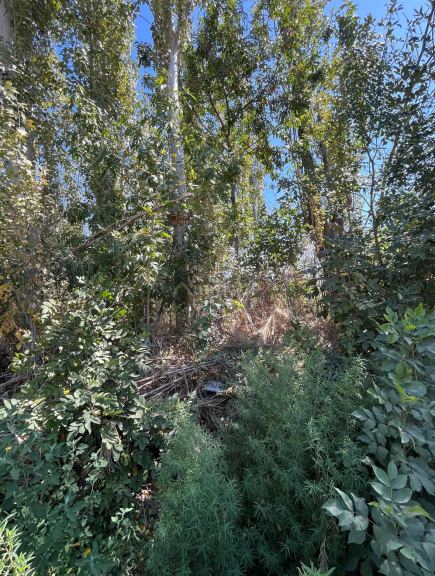 Lote en Venta en Las Heras, Mendoza