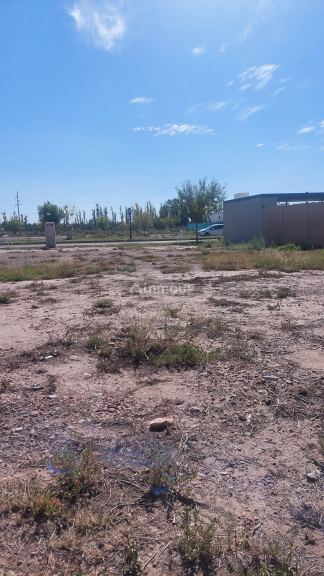 Lote en Venta en Lujan de Cuyo, Mendoza