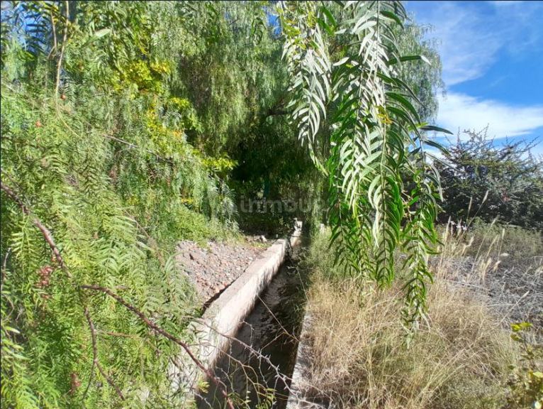 Lote en Venta en Lujan de Cuyo, Mendoza
