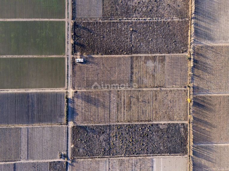 Finca en Venta en Rivadavia, Mendoza