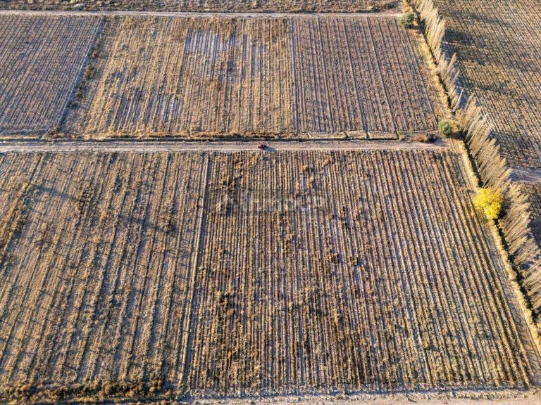 Finca en Venta en Rivadavia, Mendoza