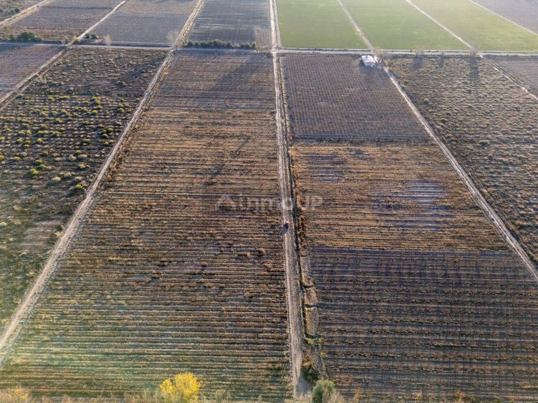 Finca en Venta en Rivadavia, Mendoza