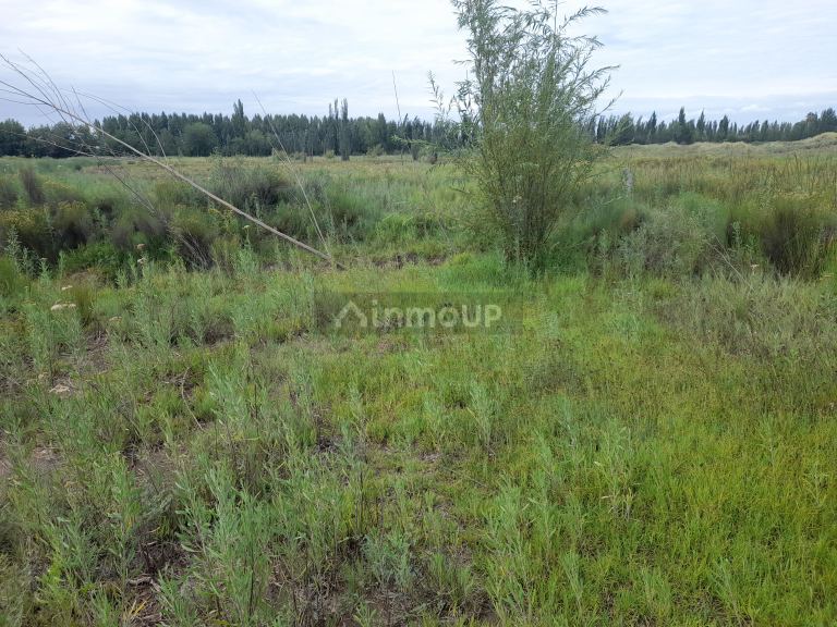 Terreno en Venta en Maipu, Mendoza