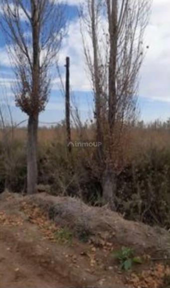 Terreno en Venta en Maipu, Mendoza