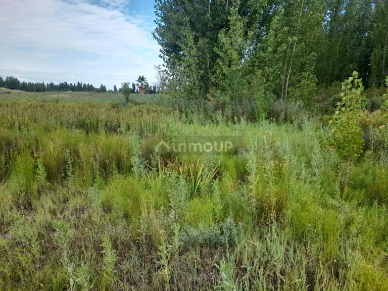 Terreno en Venta en Maipu, Mendoza