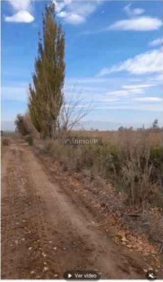 Terreno en Venta en Maipu, Mendoza