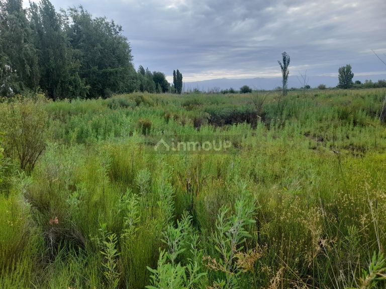 Terreno en Venta en Maipu, Mendoza