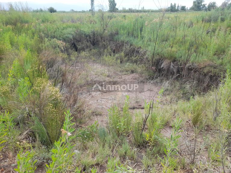 Terreno en Venta en Maipu, Mendoza