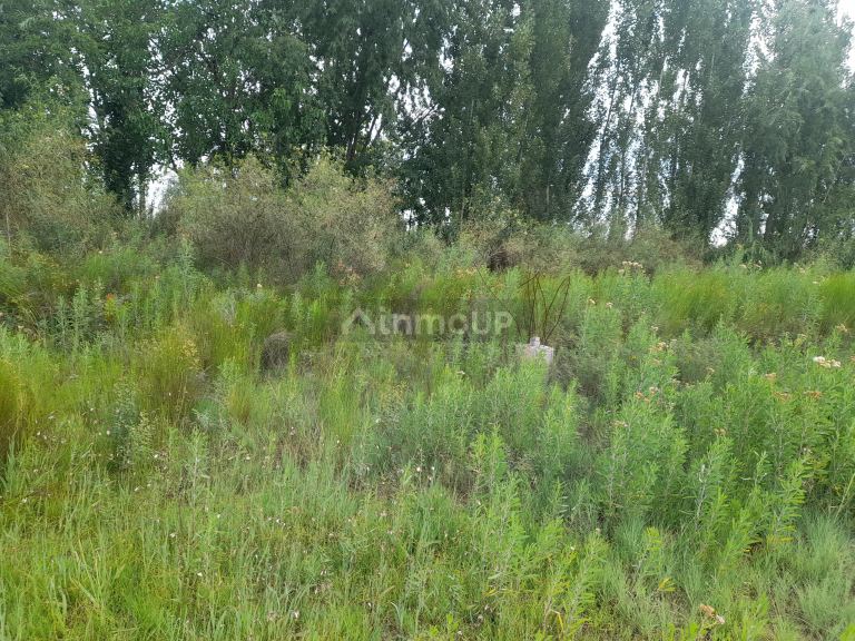 Terreno en Venta en Maipu, Mendoza