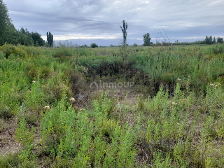 Terreno en Venta en Maipu, Mendoza