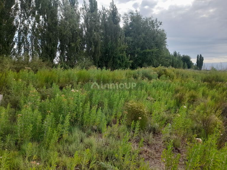 Terreno en Venta en Maipu, Mendoza