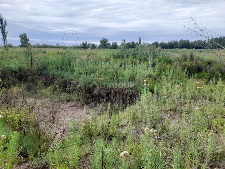 Terreno en Venta en Maipu, Mendoza