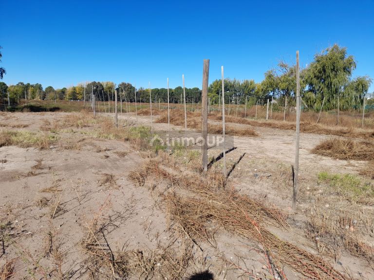 Lote en Venta en Tunuyan, Mendoza