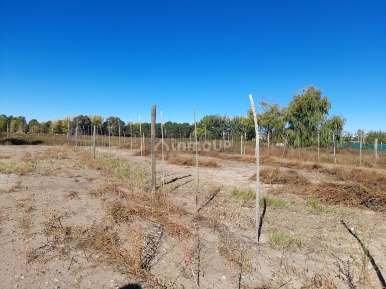Lote en Venta en Tunuyan, Mendoza