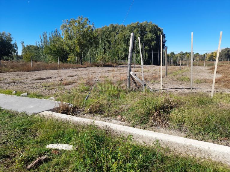 Lote en Venta en Tunuyan, Mendoza