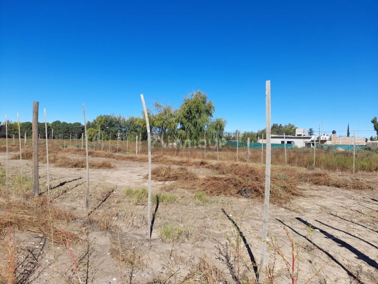 Lote en Venta en Tunuyan, Mendoza